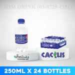 CACTUS MINERAL WATER 250ML