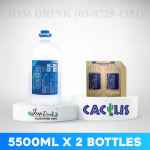 CACTUS MINERAL WATER 5500ML
