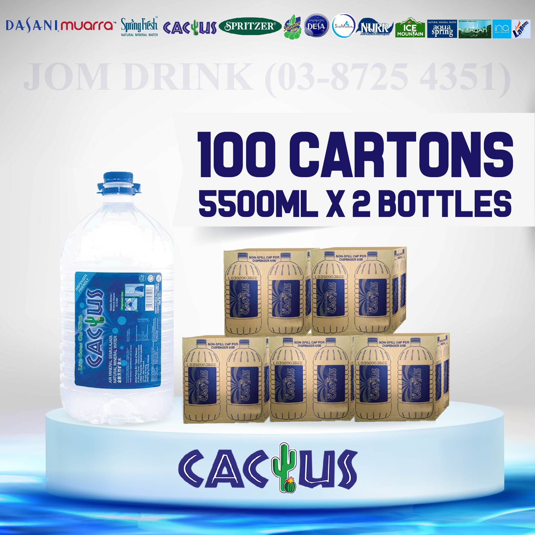 PACKAGES OF 100 BOXES : CACTUS MINERAL WATER 5500ML