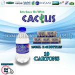 PACKAGES OF 10 BOXES : CACTUS MINERAL WATER 250ML