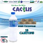 PACKAGES OF 10 BOXES : CACTUS MINERAL WATER 500ML