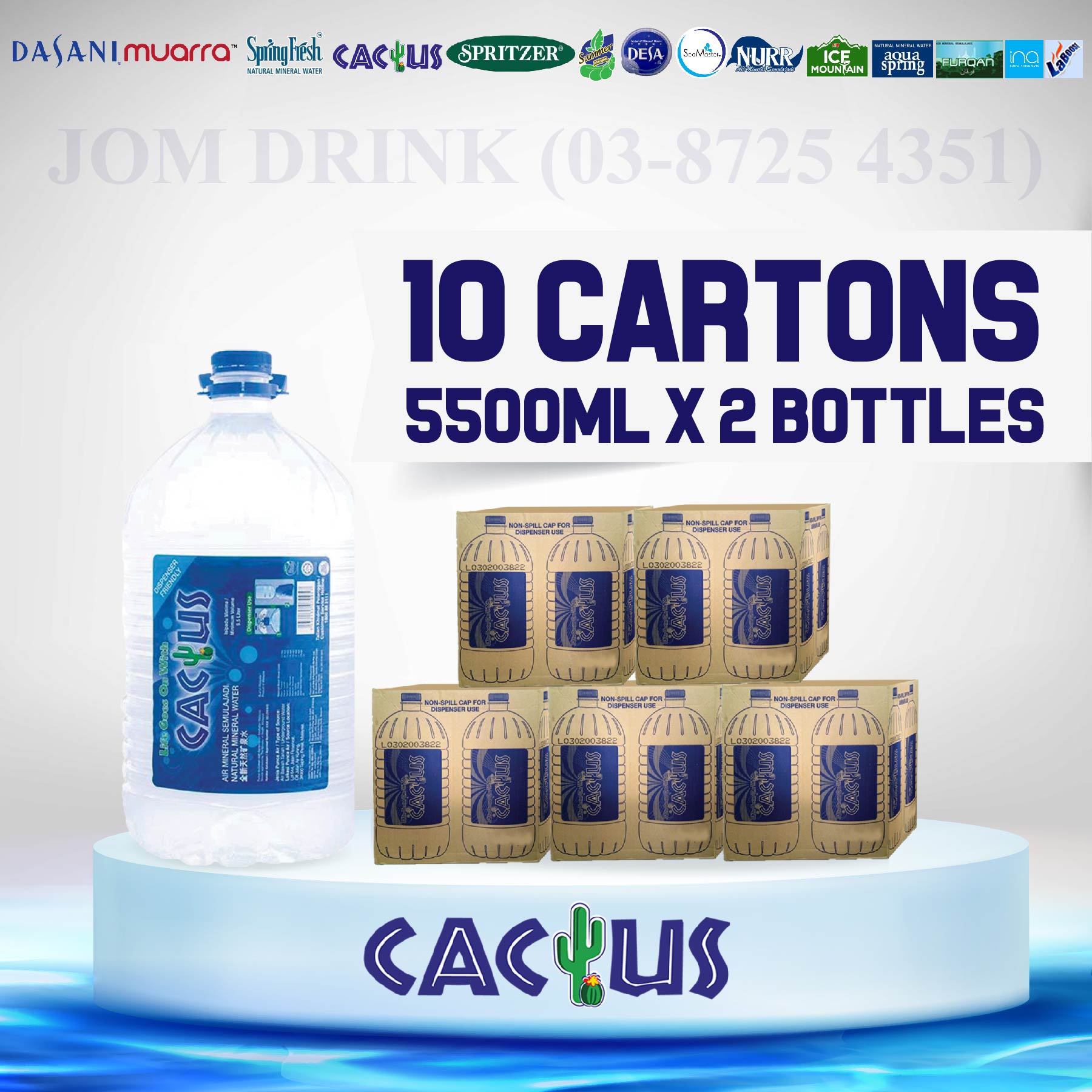 PACKAGES OF 10 BOXES : CACTUS MINERAL WATER 5500ML