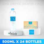 INA MINERAL WATER 500ML