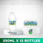 SUMMER DRINKING WATER 250ML